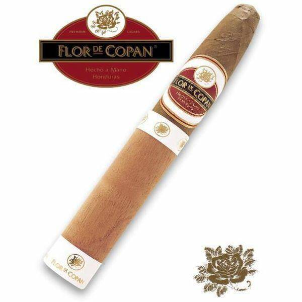 B-Flor de Copan - Belicosos