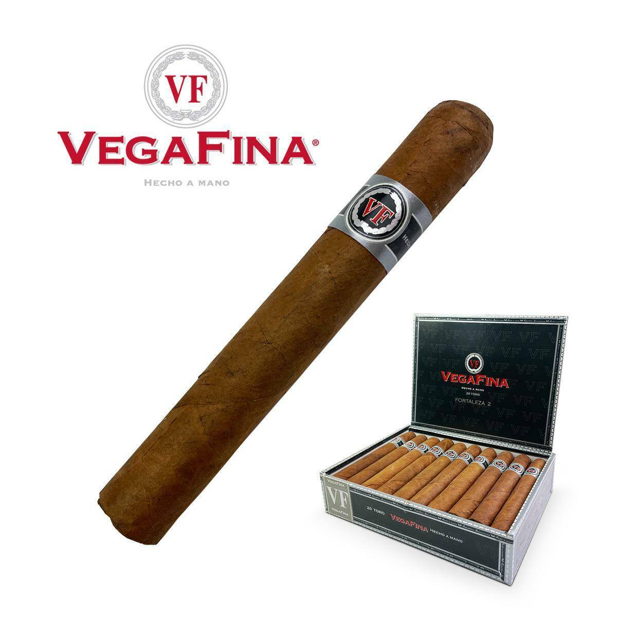B-VegaFina Fortaleza 2 - Toro /1