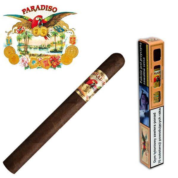 B-Paradiso - Clasico Robusto
